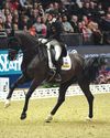 Farewell to a champion who was rider's best friend Farewell to a champion who was rider's best friend0