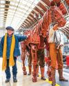 Horse & Hound