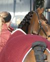 Top equestrian brands are facing difficult decisions1