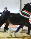Breeder's blockbuster result16
