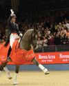 Dressage's Christmas home9