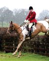 Horse & Hound