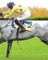 Horse & Hound