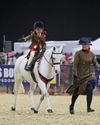 Horse & Hound