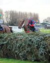 A £100 bargain buy is Aintree hero21