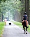 Horse & Hound