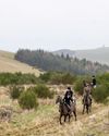 Horse & Hound