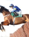 Horse & Hound