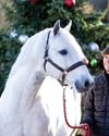 Horse & Hound