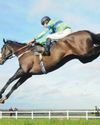 Horse & Hound