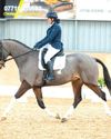 Horse & Hound
