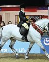 Horse & Hound