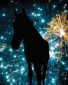 Horse & Hound