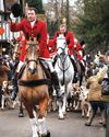 Horse & Hound