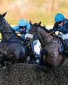 Horse & Hound