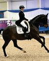 Horse & Hound