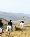 Horse & Hound