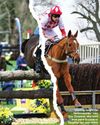 Horse & Hound