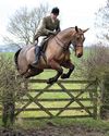 Horse & Hound