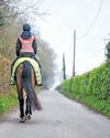 Horse & Hound