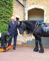 Horse & Hound