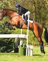 Horse & Hound