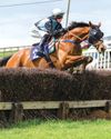 Horse & Hound