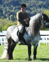 Horse & Hound
