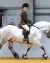 Horse & Hound