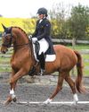 Horse & Hound