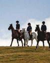 Horse & Hound