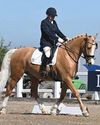 Horse & Hound