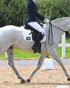 Horse & Hound