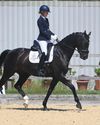 Horse & Hound