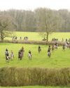 Horse & Hound