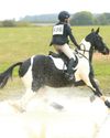 Horse & Hound