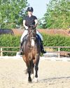 Horse & Hound