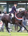 Horse & Hound