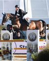 Horse & Hound