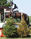 Toledo turns the tables19