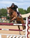 Horse & Hound