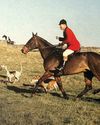 A first-class hound breeder and huntsman25