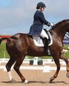 Horse & Hound