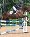 Horse & Hound