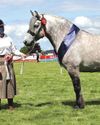 Uist titled best of the breed