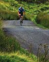 A BLESSED RIDE THROUGH THE FOREST OF BOWLAND