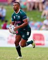 THE GALLOPING GREENS THE GALLOPING GREENS19