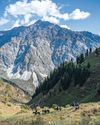 A Kyrgyz adventure