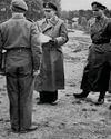 Victory in Europe Day: 80th anniversary The Field