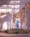 Art in the field15